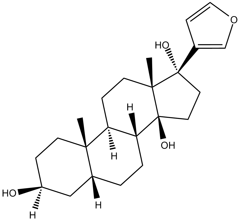 Rostafuroxin (PST 2238)
