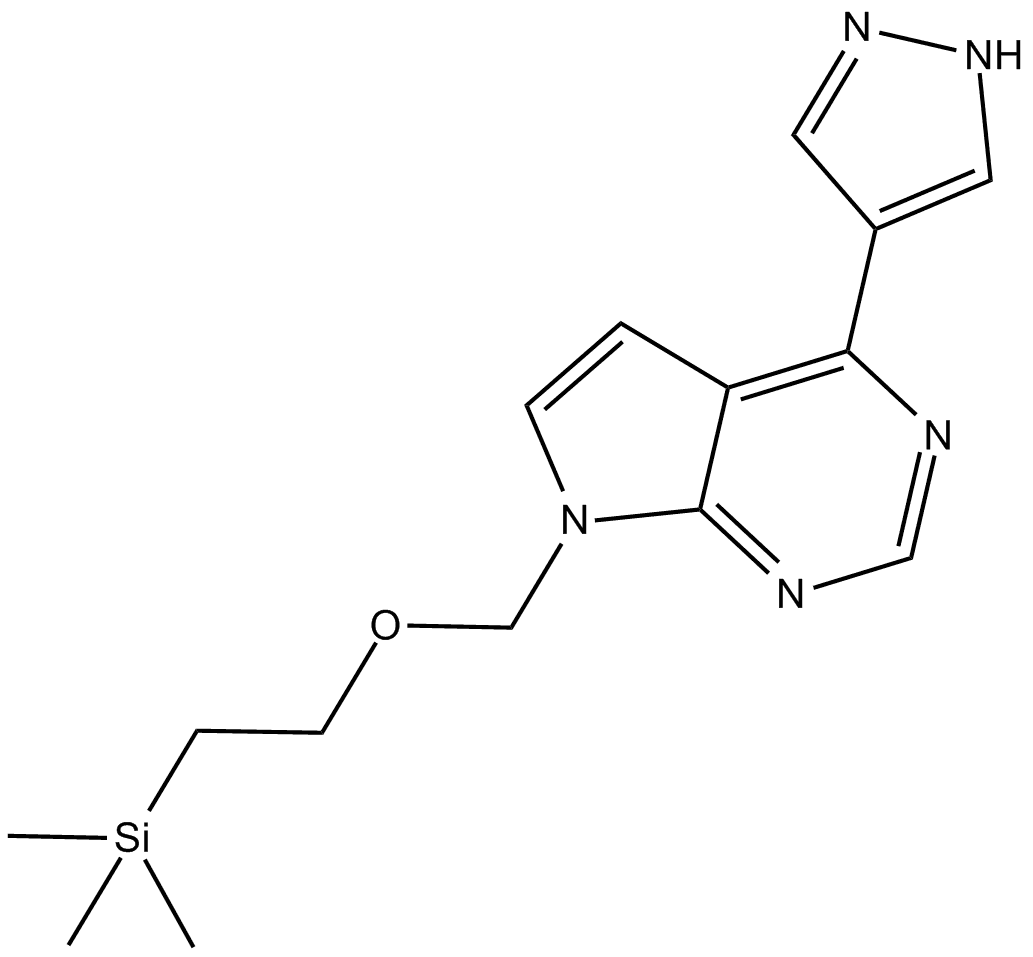 INCB032304