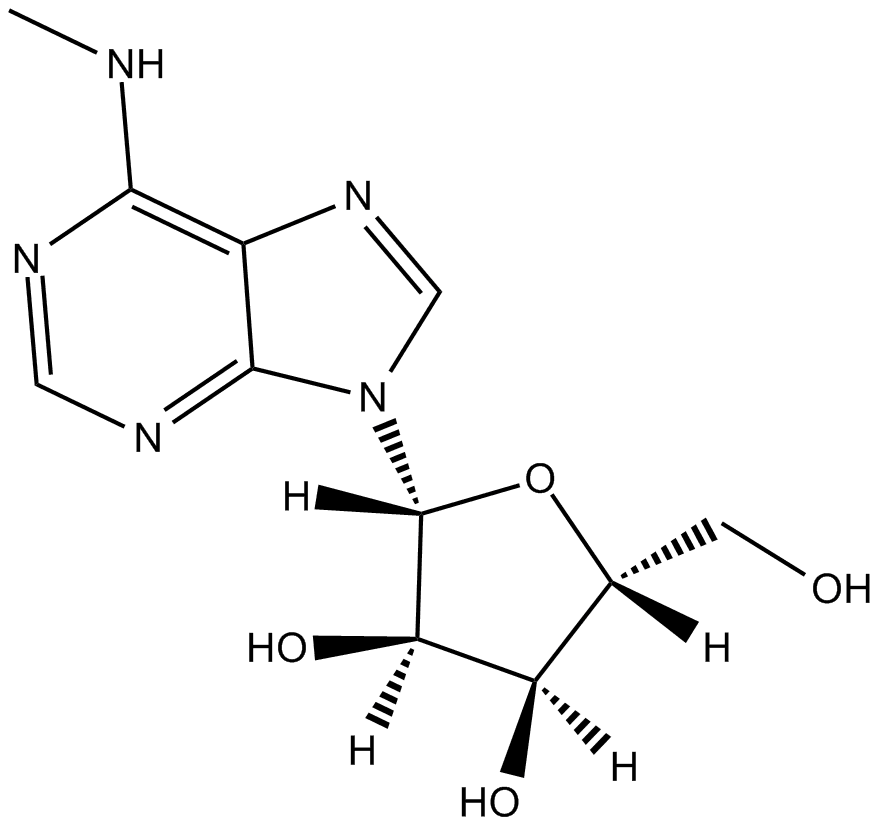 N6-methyladenosine (m6A)