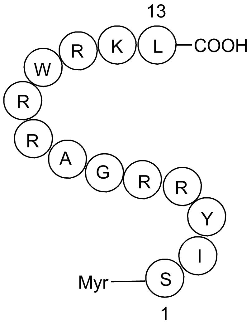 ZIP