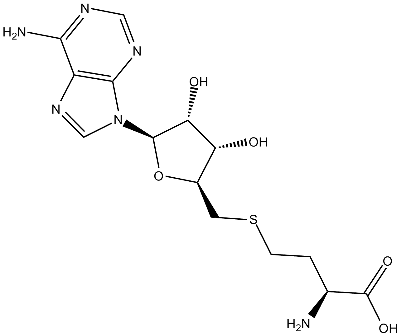 S-Adenosylhomocysteine