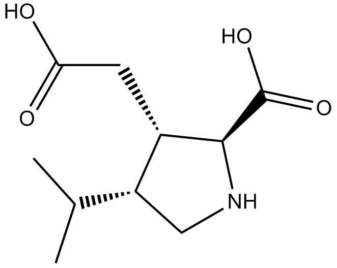 Dihydrokainic acid