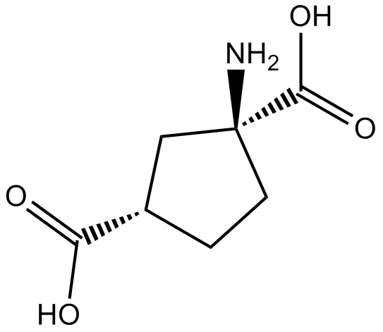 cis-ACPD