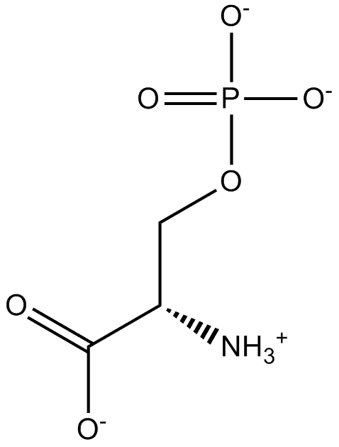 O-Phospho-L-serine