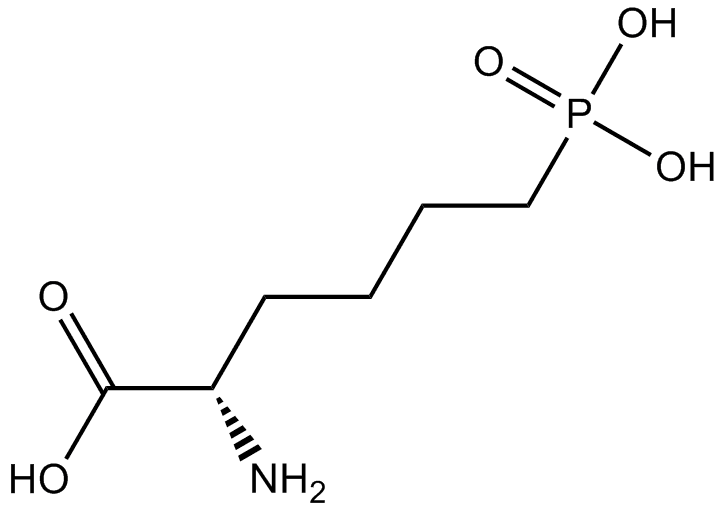 L-AP6