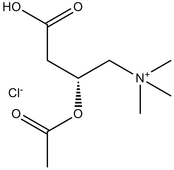 (±)-Acetylcarnitine chloride