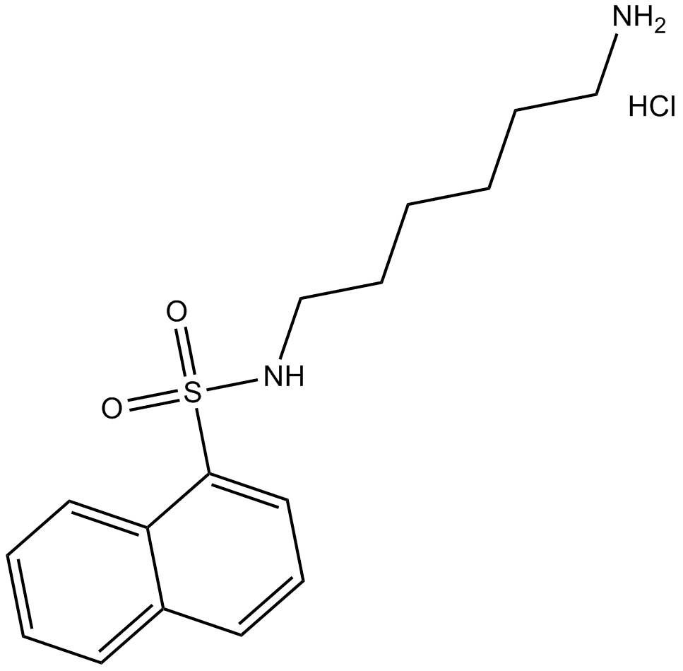 W-5 hydrochloride