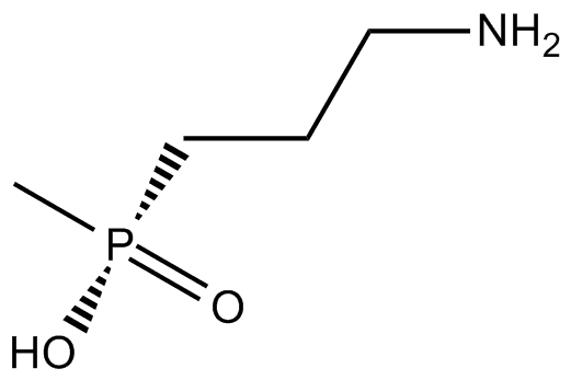 SKF 97541
