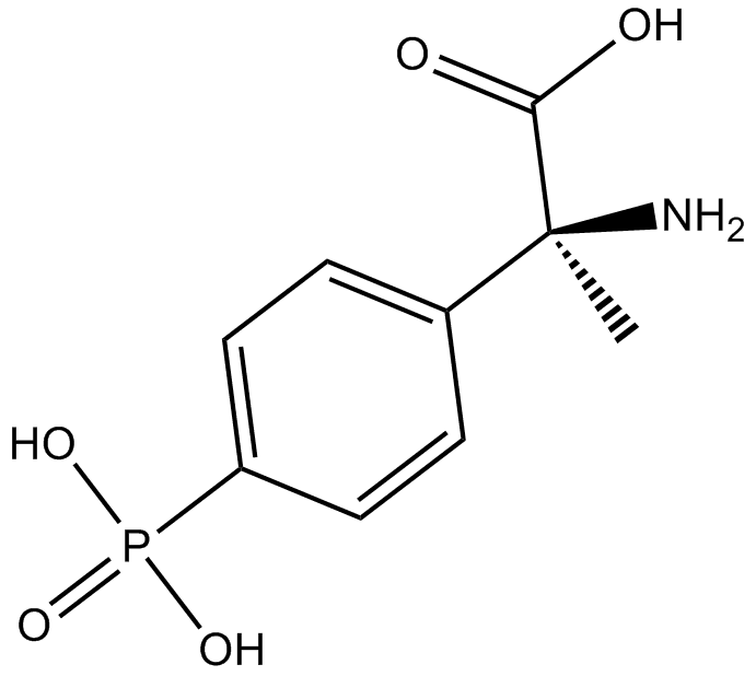 MPPG