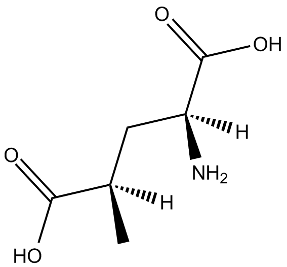 SYM 2081