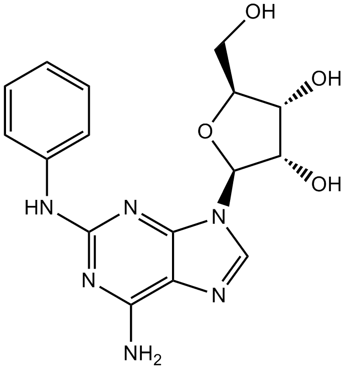 CV 1808