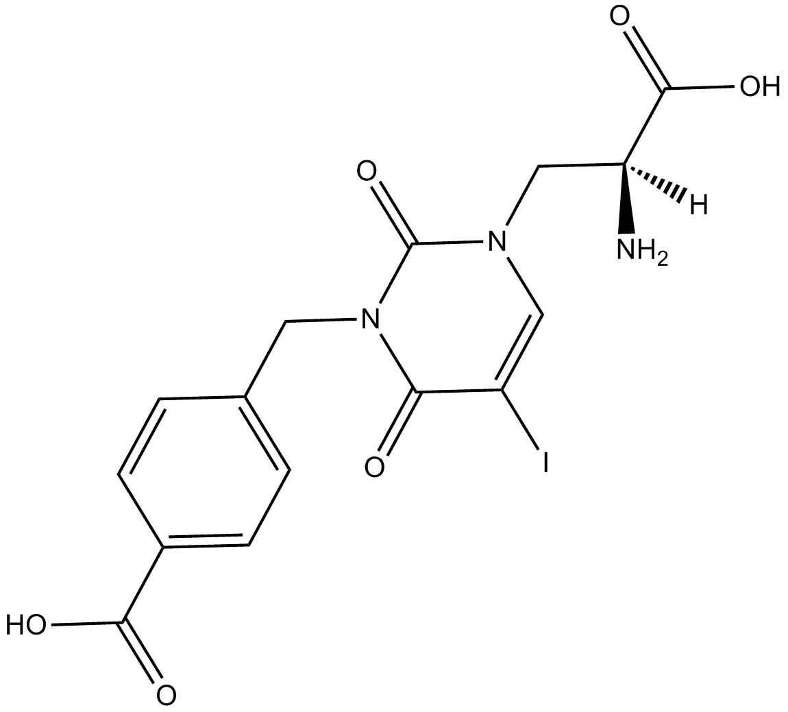 UBP 301