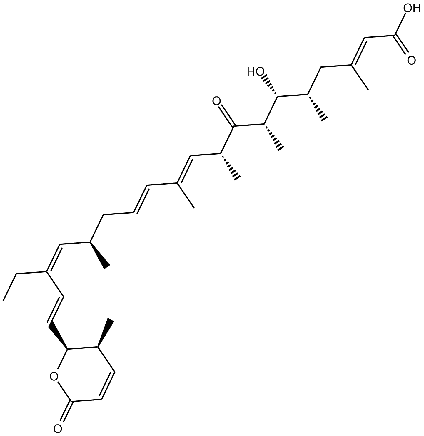 Leptomycin B