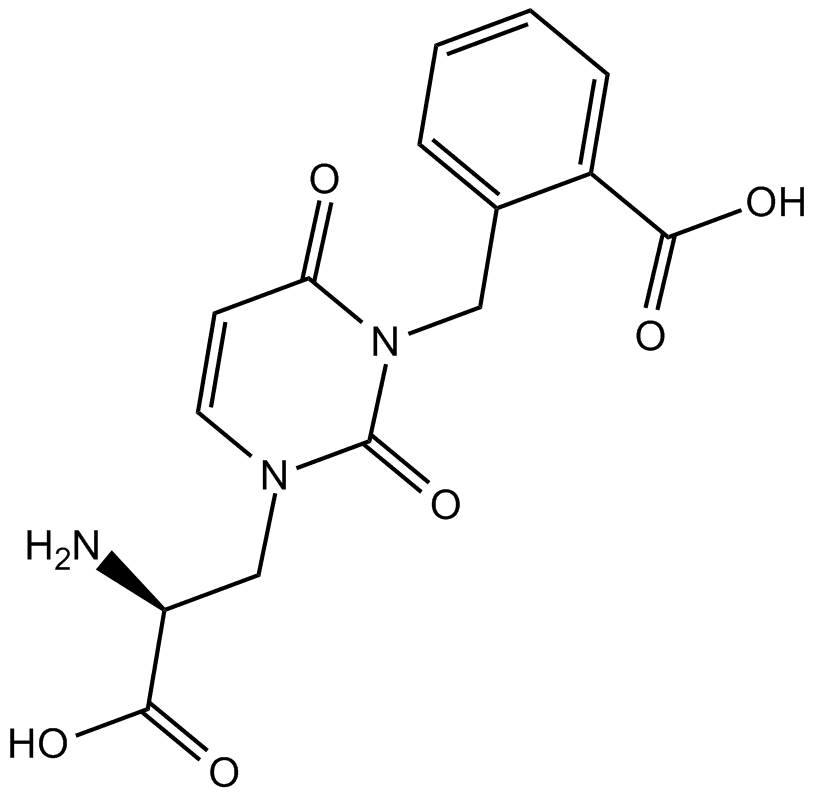 UBP 302