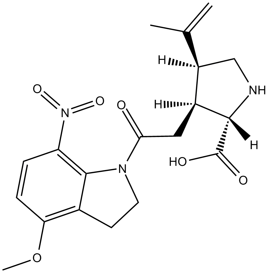 MNI caged kainic acid