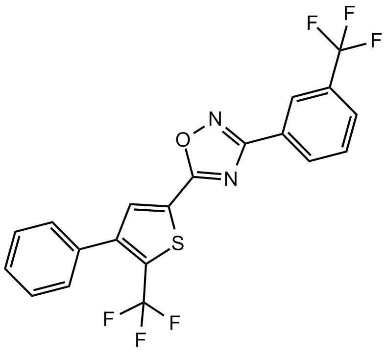 SEW 2871