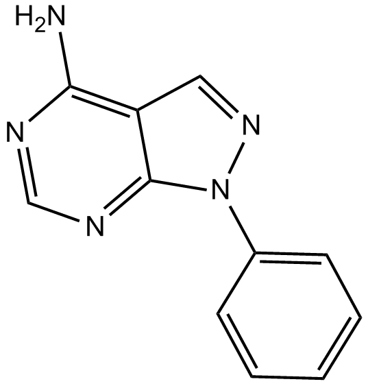 PP 3