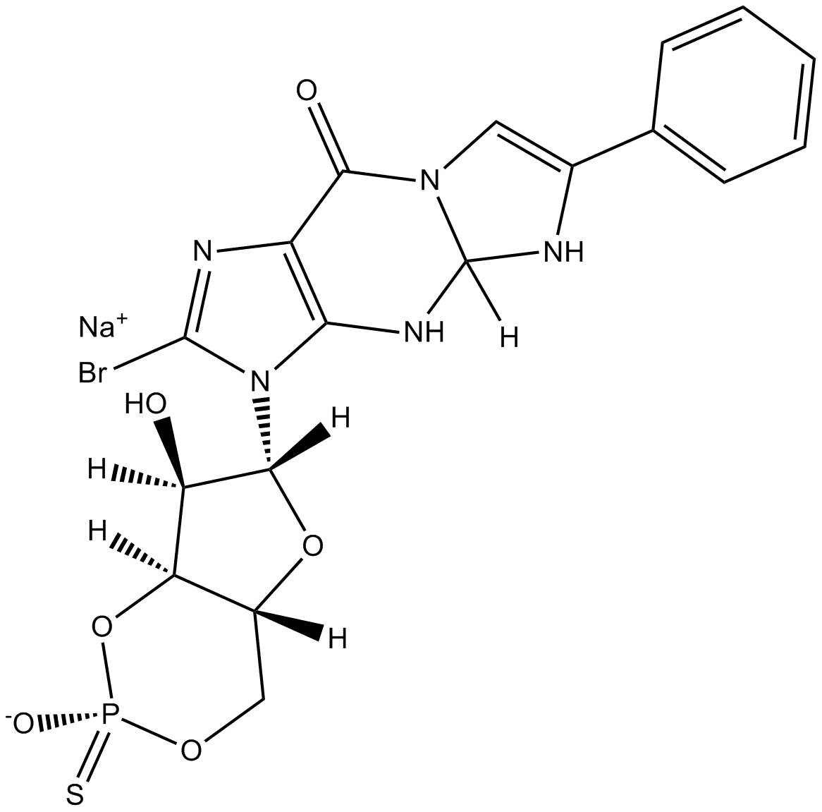 Rp-8-Br-PET-cGMPS