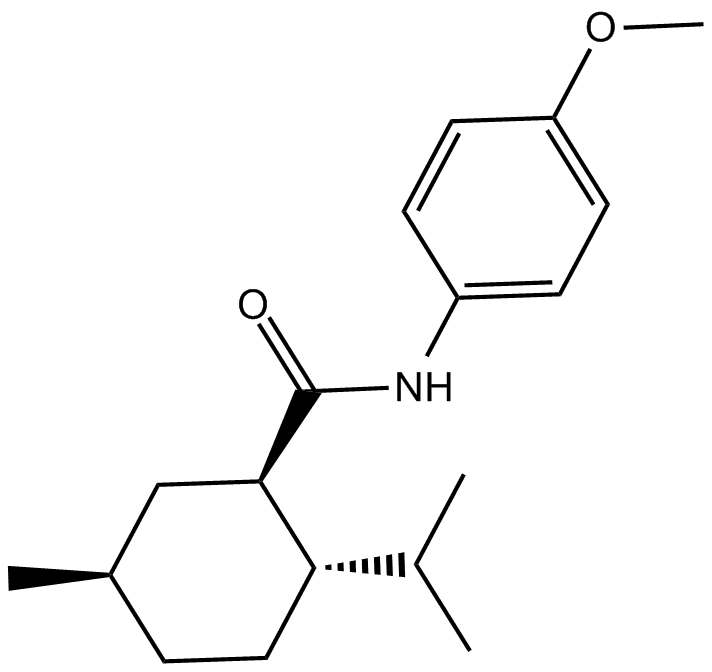 WS 12