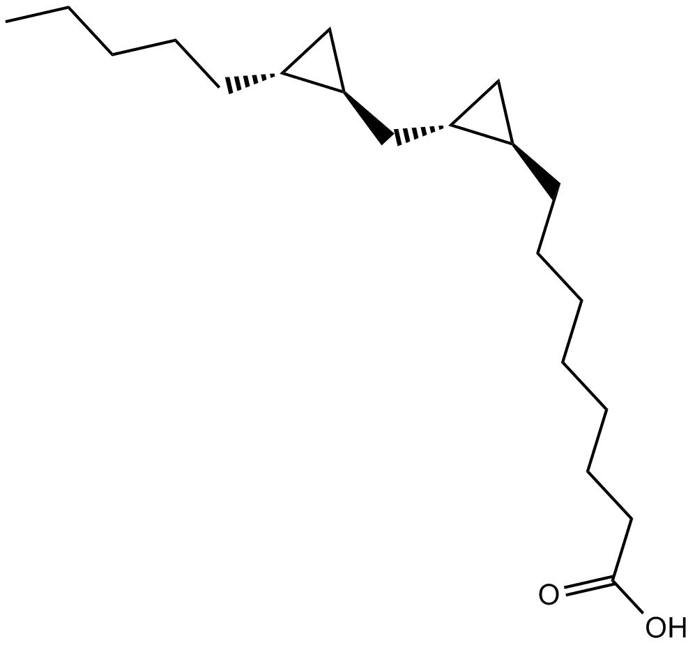 FR 236924