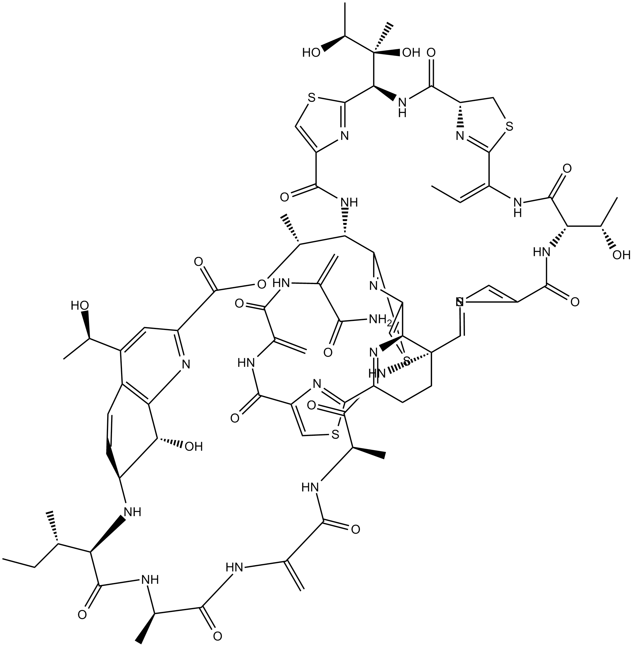 Thiostrepton
