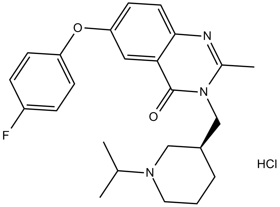 YIL 781
