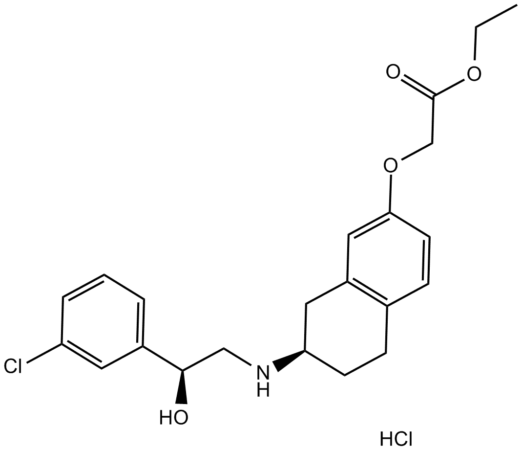 SR 58611A hydrochloride