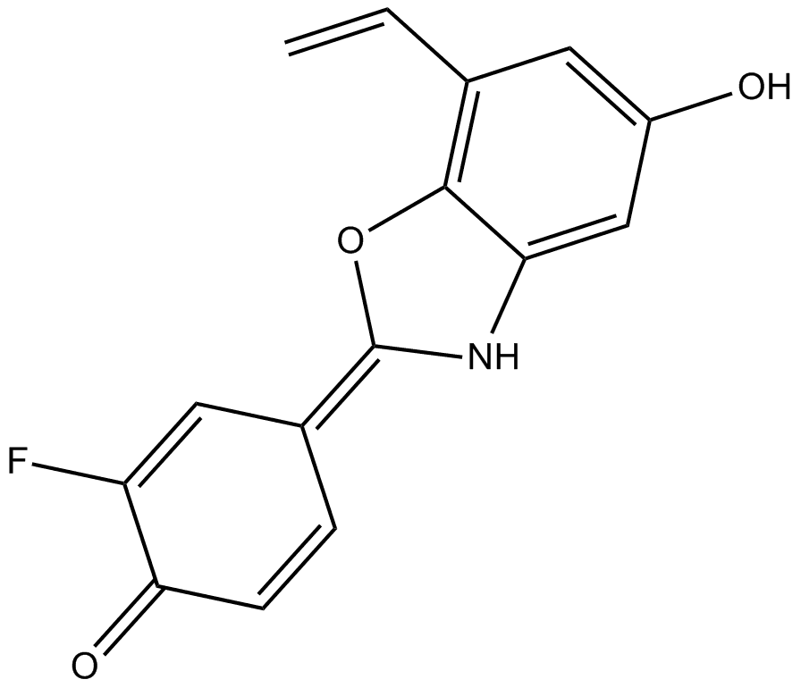 ERB 041