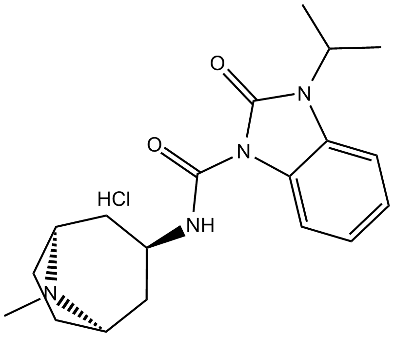 BIMU 8