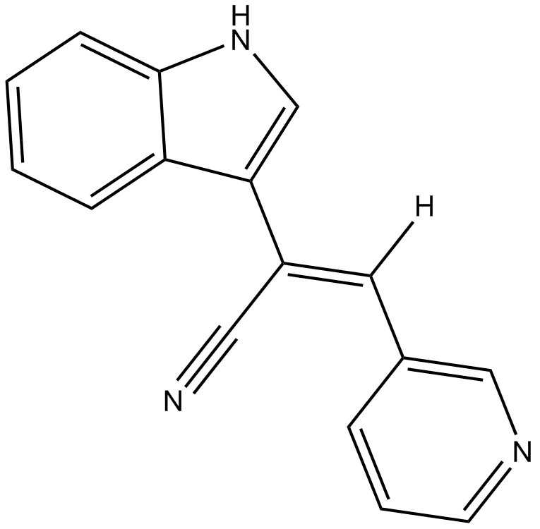 Paprotrain