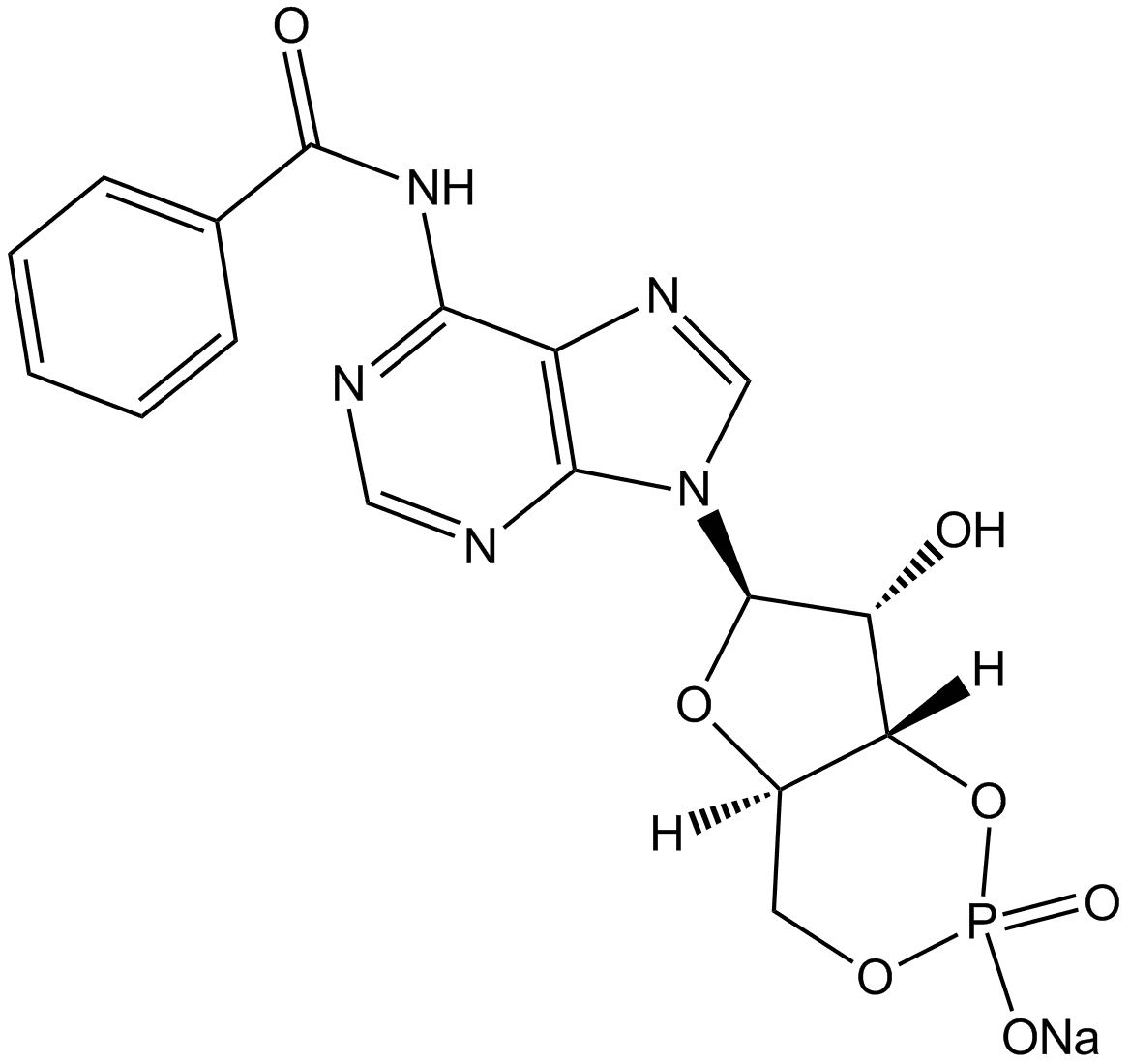 6-Bnz-cAMP sodium salt