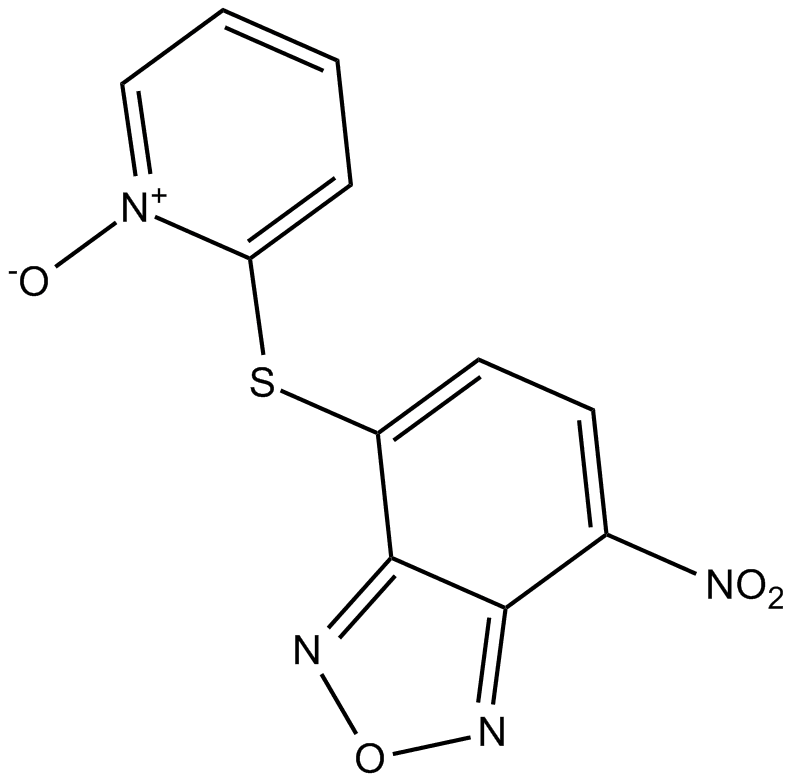 NSC228155