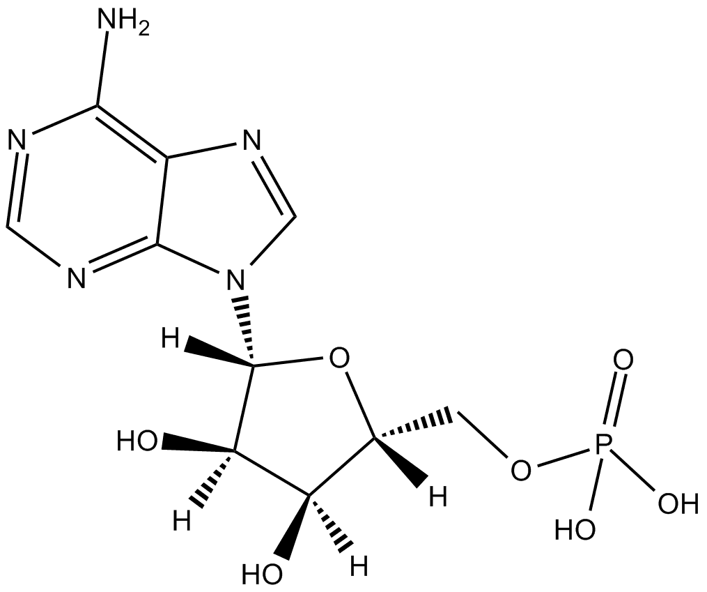 Adenosine 5-monophosphate