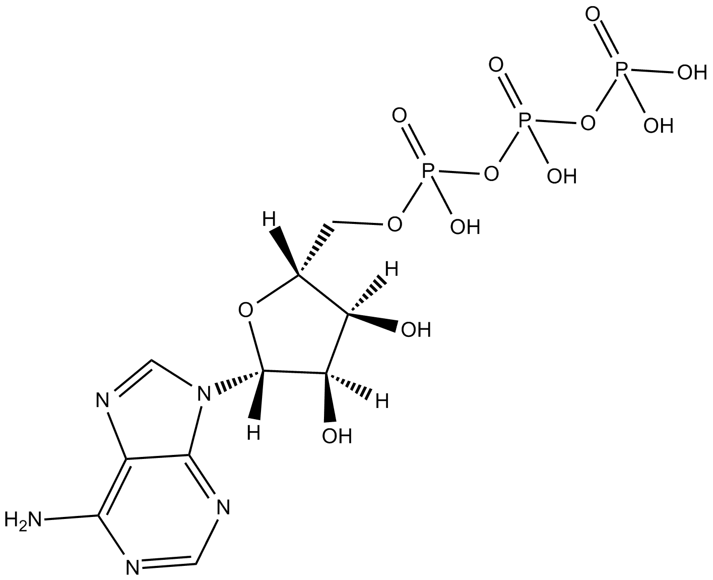 Adenosine 5-triphosphate