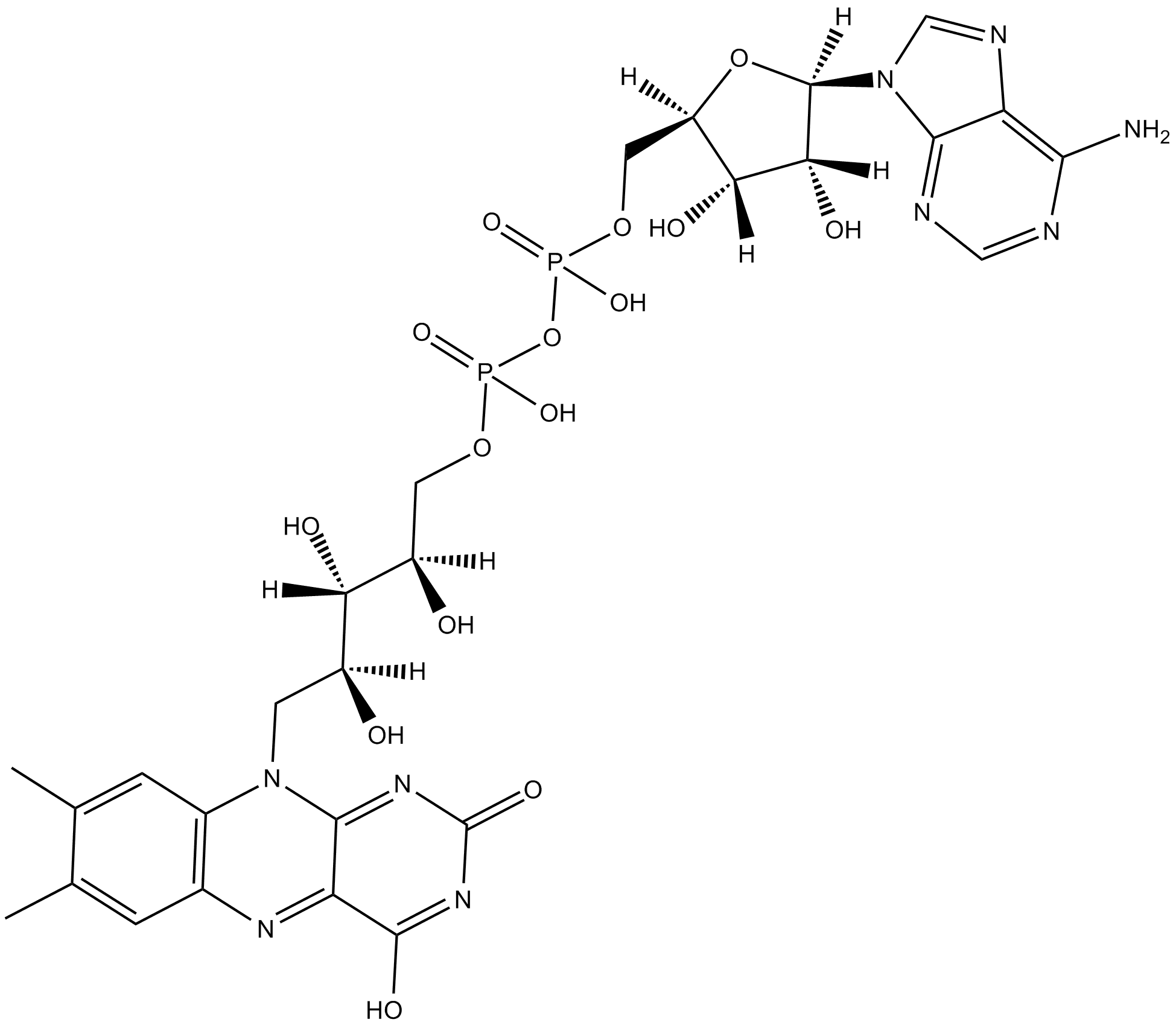 Flavin adenine dinucleotide