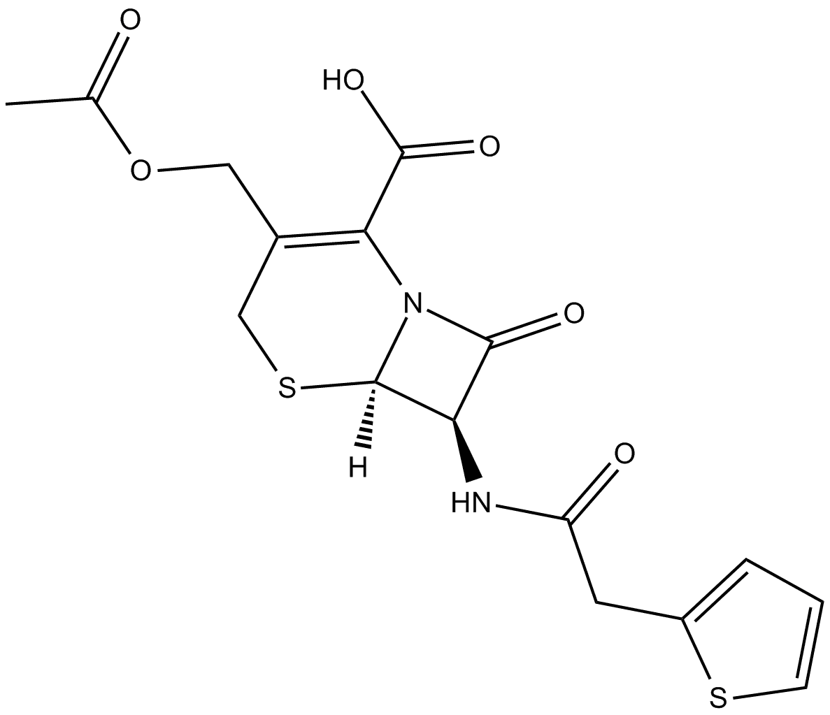 Cephalothin