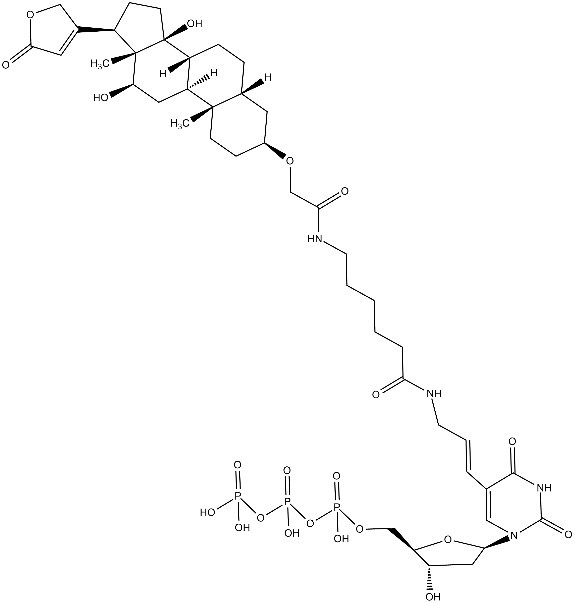 Digoxigenin-11-dUTP