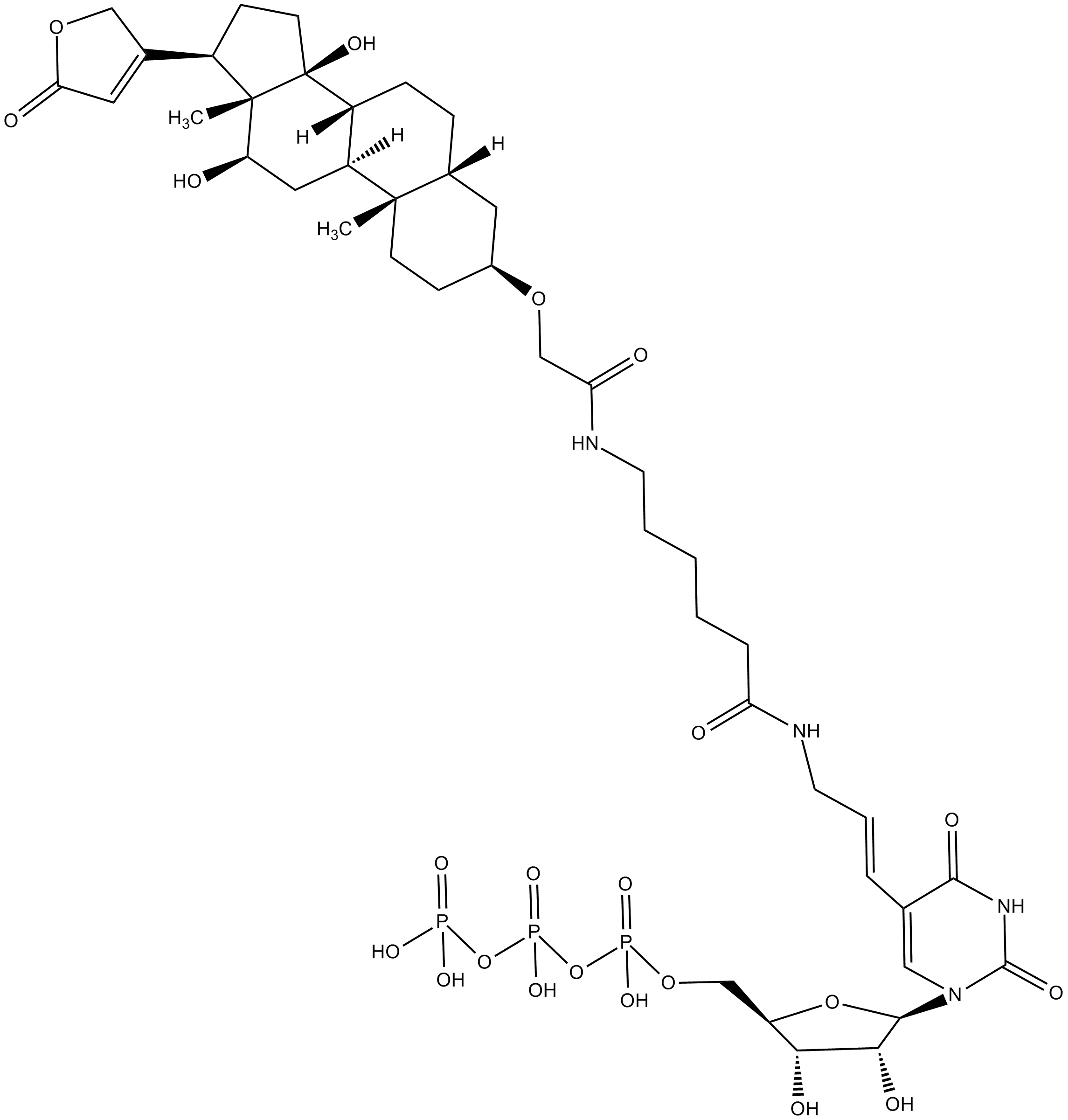 Digoxigenin-11-UTP
