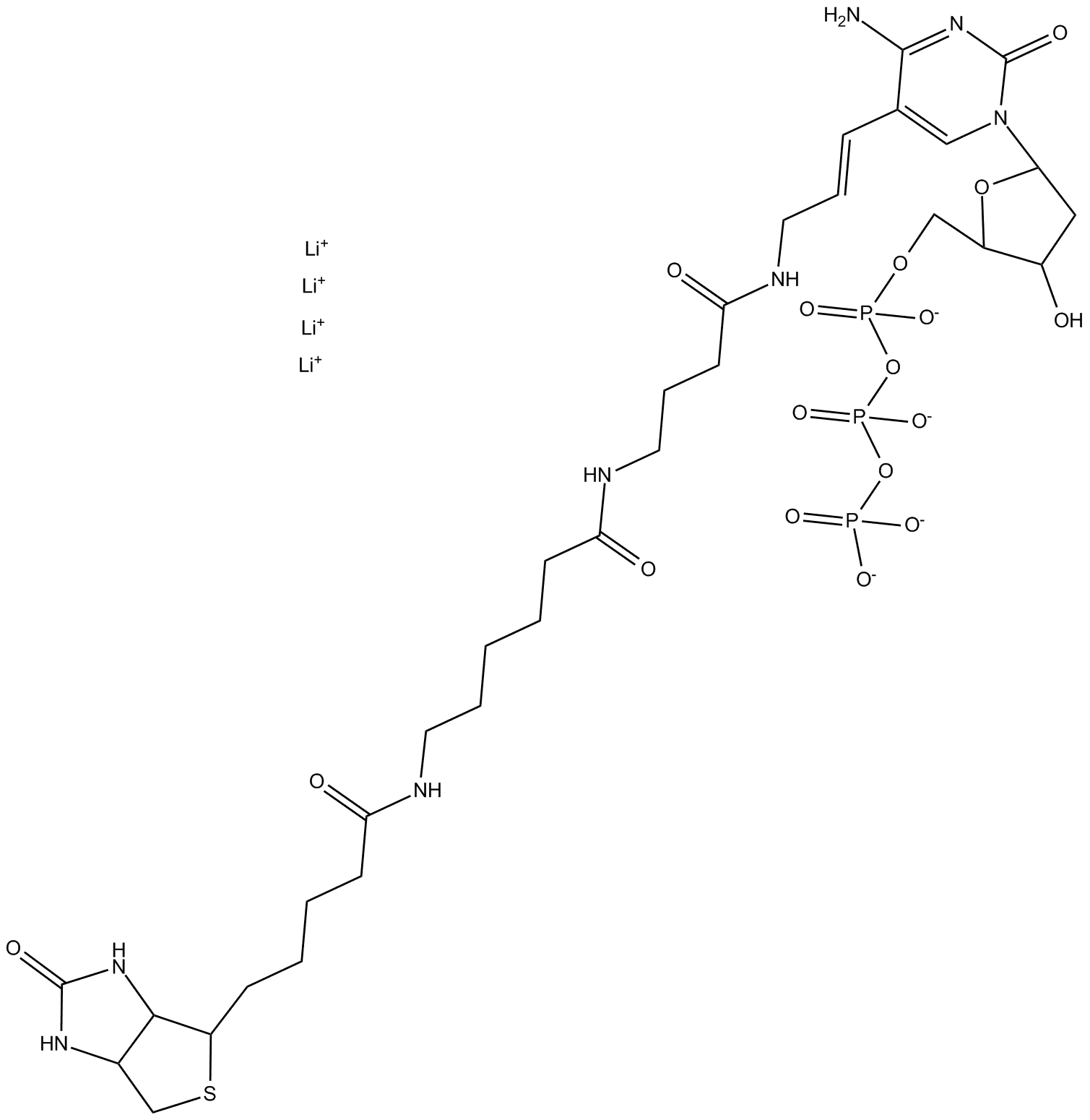 Biotin-16-dCTP