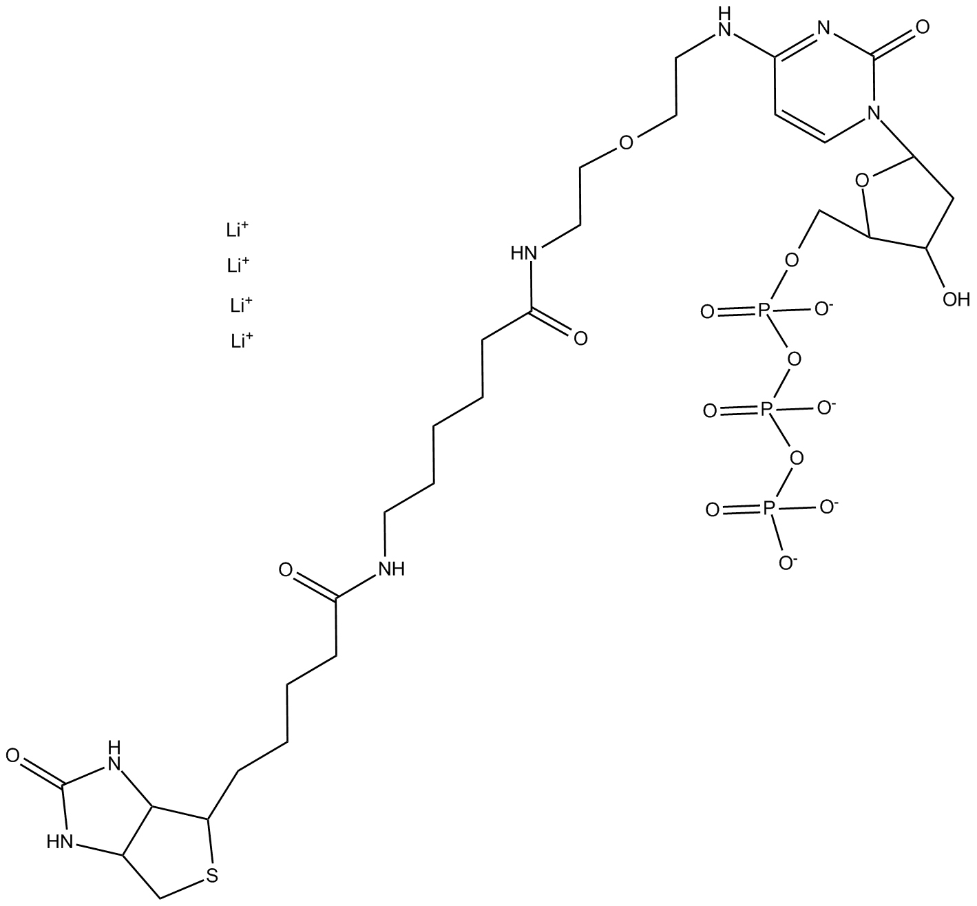 N4-Biotin-OBEA-dCTP