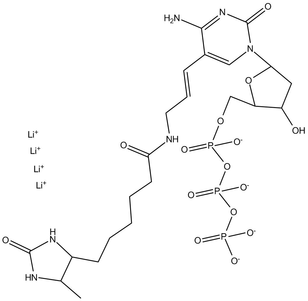 Desthiobiotin-6-dCTP