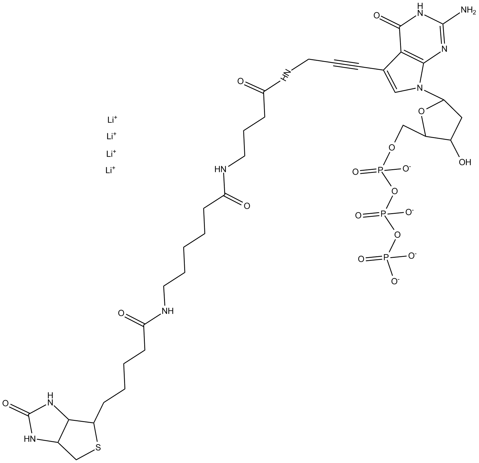 Biotin-16-dGTP