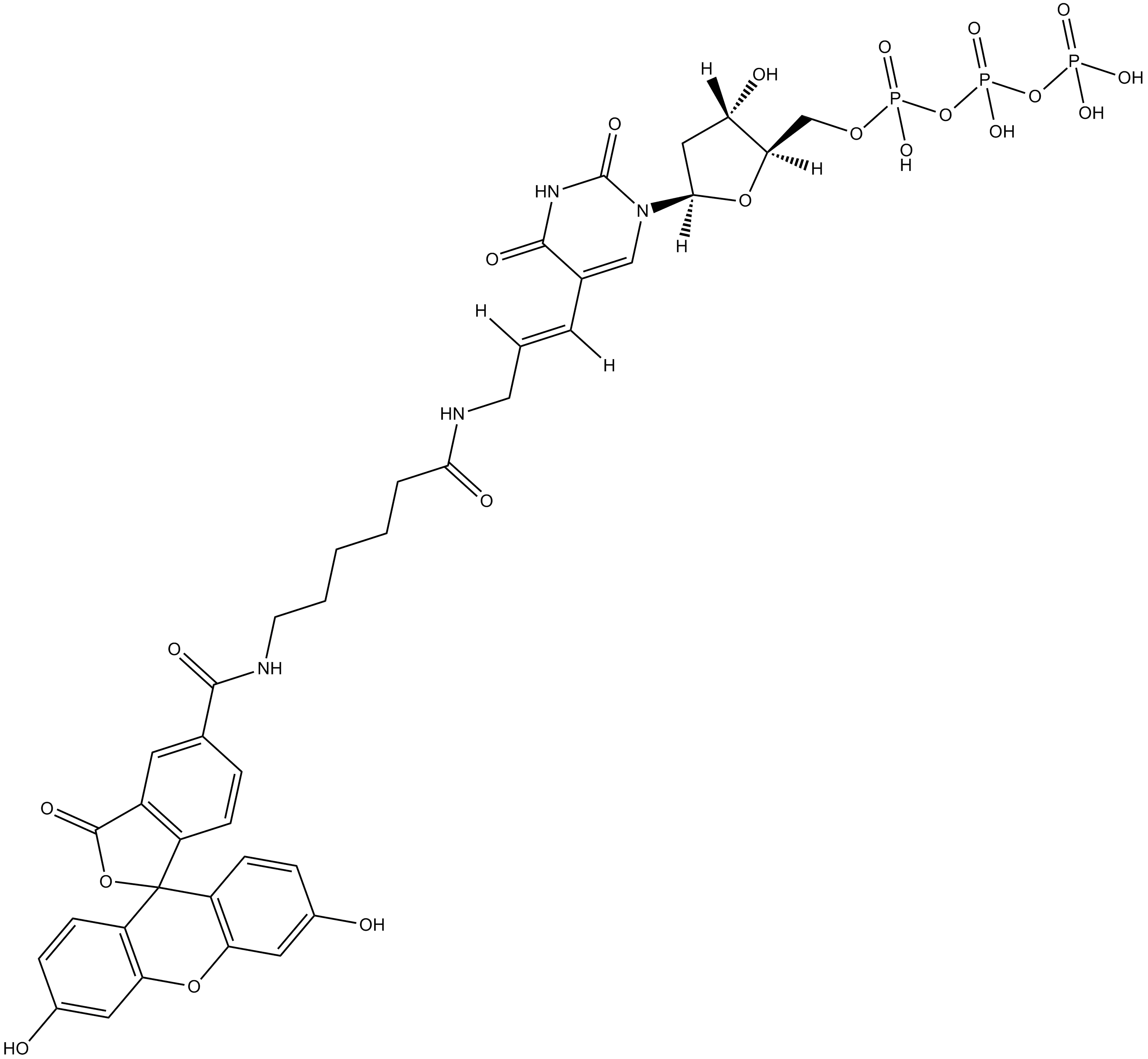 Fluorescein-12-dUTP