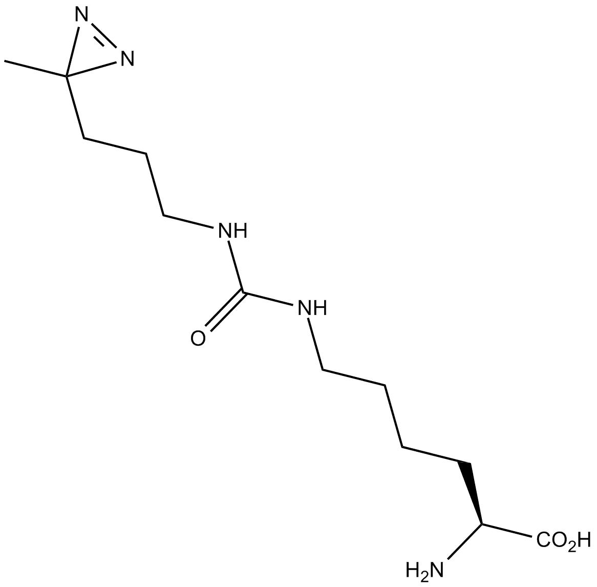 DiZPK