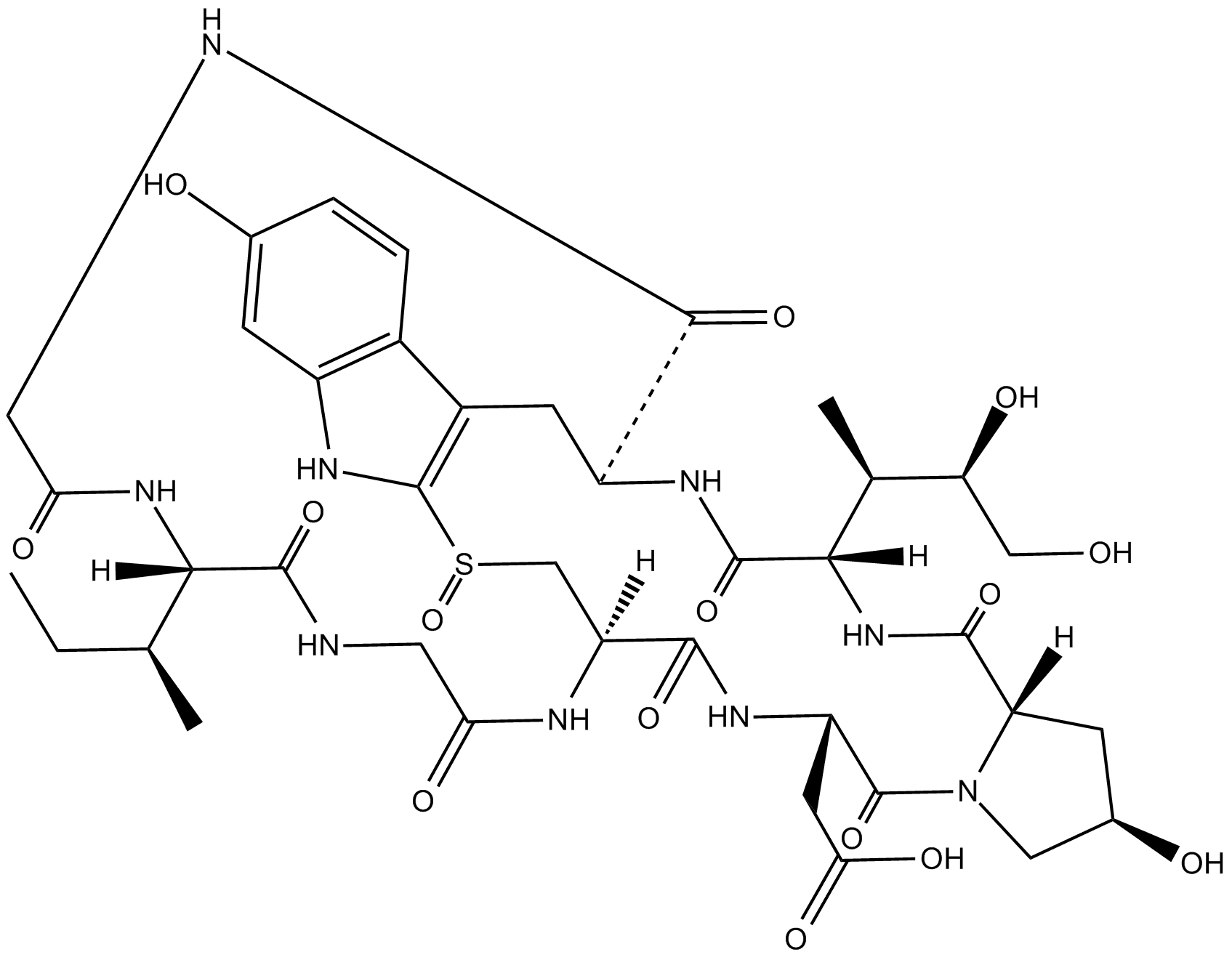 β-Amanitin