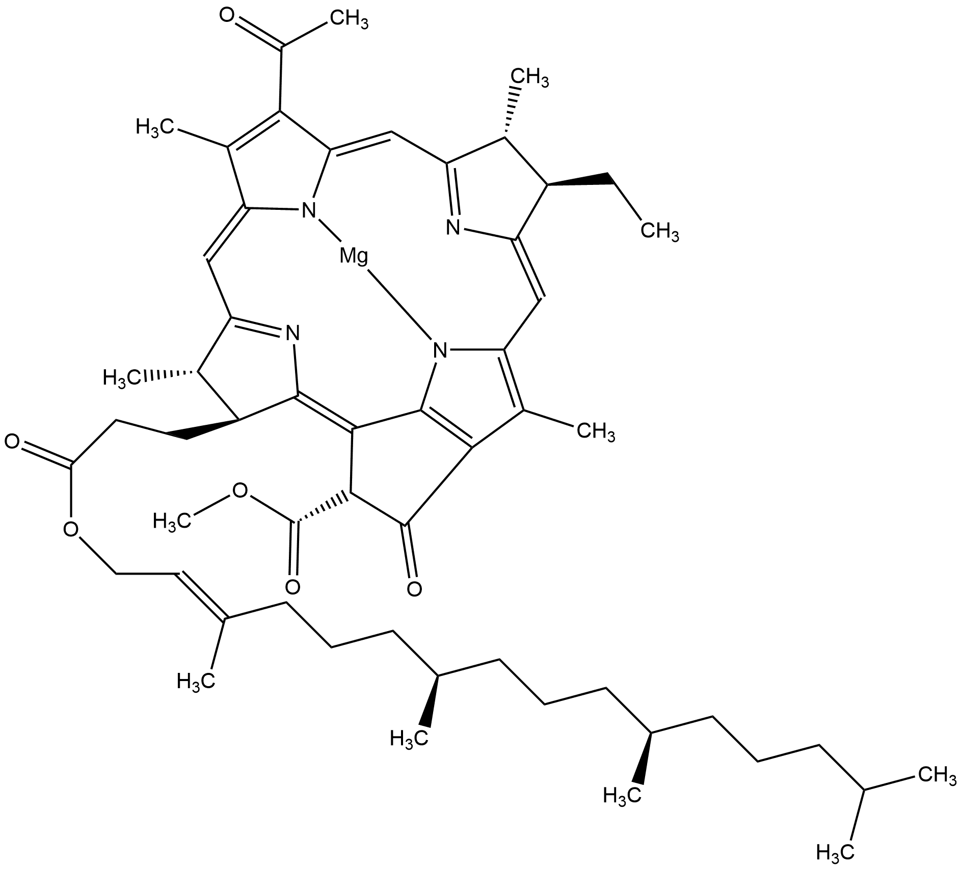 Bacteriochlorophyll from Rhodopseudomonas sphaeroides
