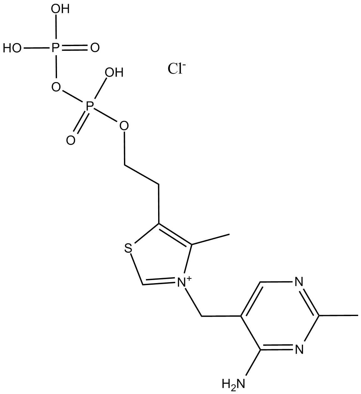 Thiamine pyrophosphate