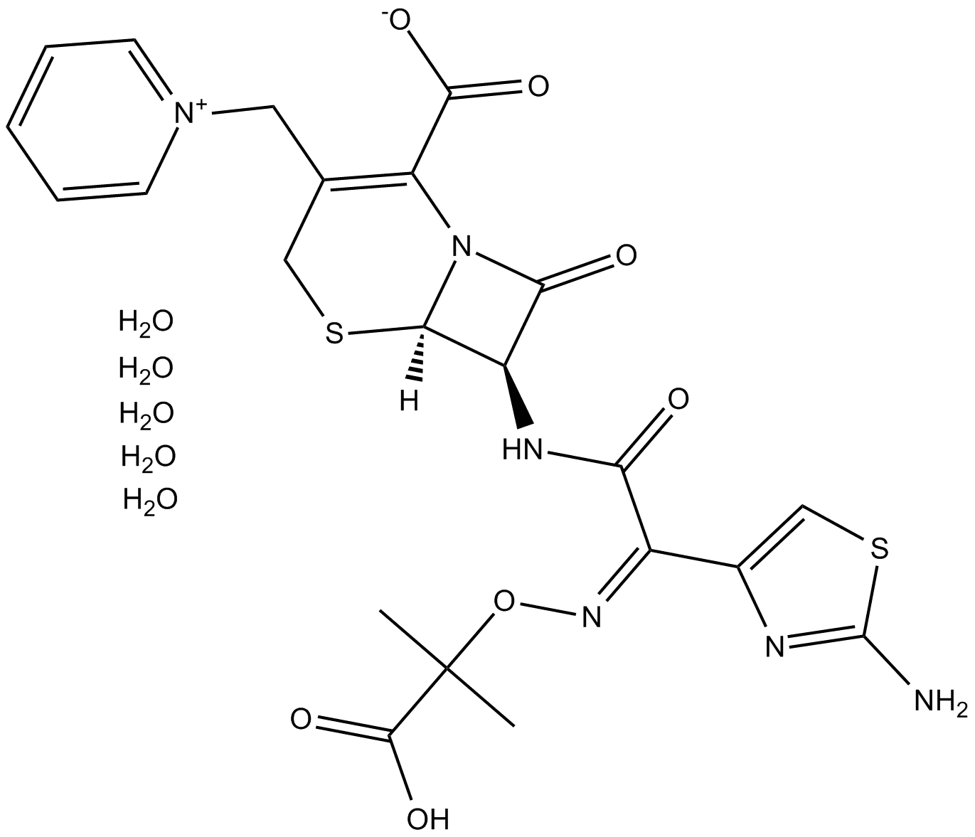 Ceftazidime pentahydrate