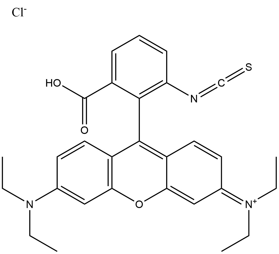 Rhodamine B isothiocyanate