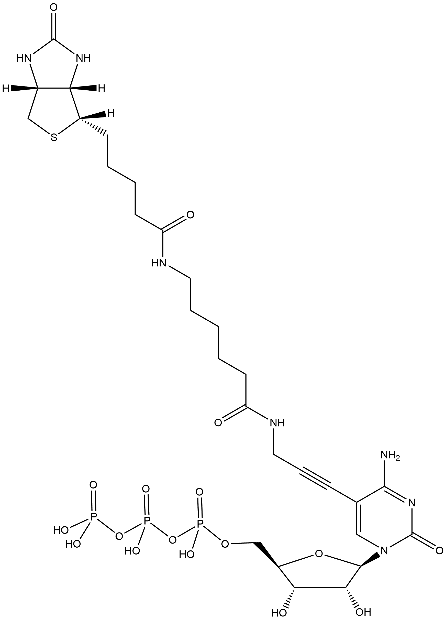 Biotin-11-CTP